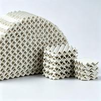 Conjunto de Empaque Cerámico Estructurado, Empaque de Torre Cerámica Corrugada para Columnas de Absorción y Destilación de Medios Corrosivos