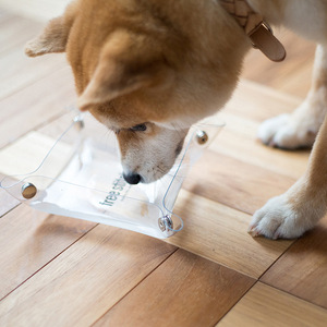 Tazón plegable para perros estilo japonés y coreano, tazón portátil transparente de PVC para comida y agua para perros, para exteriores. - Product Image 2