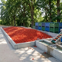 Machine de traitement de la pulpe de tomate, machine à ketchup, ligne de production de pâte de tomate