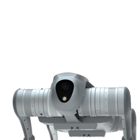 Perro Robot Serie C1, Perro Robot Biónico Inteligente con Android para Entretenimiento, Pantalla AMOLED Metálica para Niños, Control Remoto por Aplicación, Wi-Fi