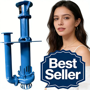 Large Flow YZ Liquid Slurry <b>Pump</b> Sewage Disposal & <b>Sludge</b> Transfer Factory Direct Sale - Product Image 2