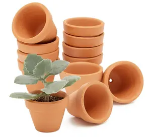 Naturix Customized 1-7 Inch Mini Clay Terracotta Pot Succulent Decorative Flower Plant Indoor Outdoor Low MOQ Garden Application