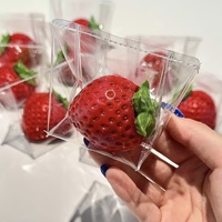 En gros Jouet anti-stress Squishy Fraise à remontée lente, Simulation réaliste de fruits, Cadeaux de fête