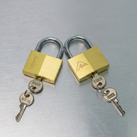 Cadenas en laiton haute sécurité antivol avec cylindre en laiton et 2 clés en laiton, écologique, durable, étanche IP65 pour portail