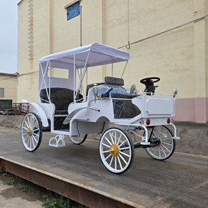 Chariot de <span class=keywords><strong>mariage</strong></span> convertible blanc six places de haute qualité, très demandé, pour visites en extérieur, type <span class=keywords><strong>limousine</strong></span> électrique ou calèche. - Product Image 1