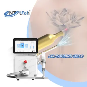 Various Specifications Low Price 755nm 532nm 1064nm Nd Yag Laser Tattoo Removal Machine With Air Cooler Head