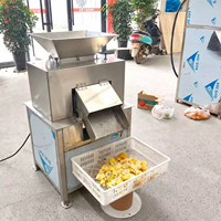 Industriële MA-600 passievrucht- en citroensapcentrifuge met dubbele rollers voor verwerkingsinstallaties van 600 tot 800 kg per uur