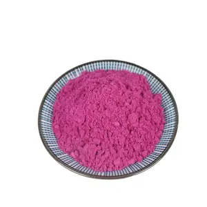 Super Food Powder Pink Pitaya Powder Health Red Dragon Fruit Powder