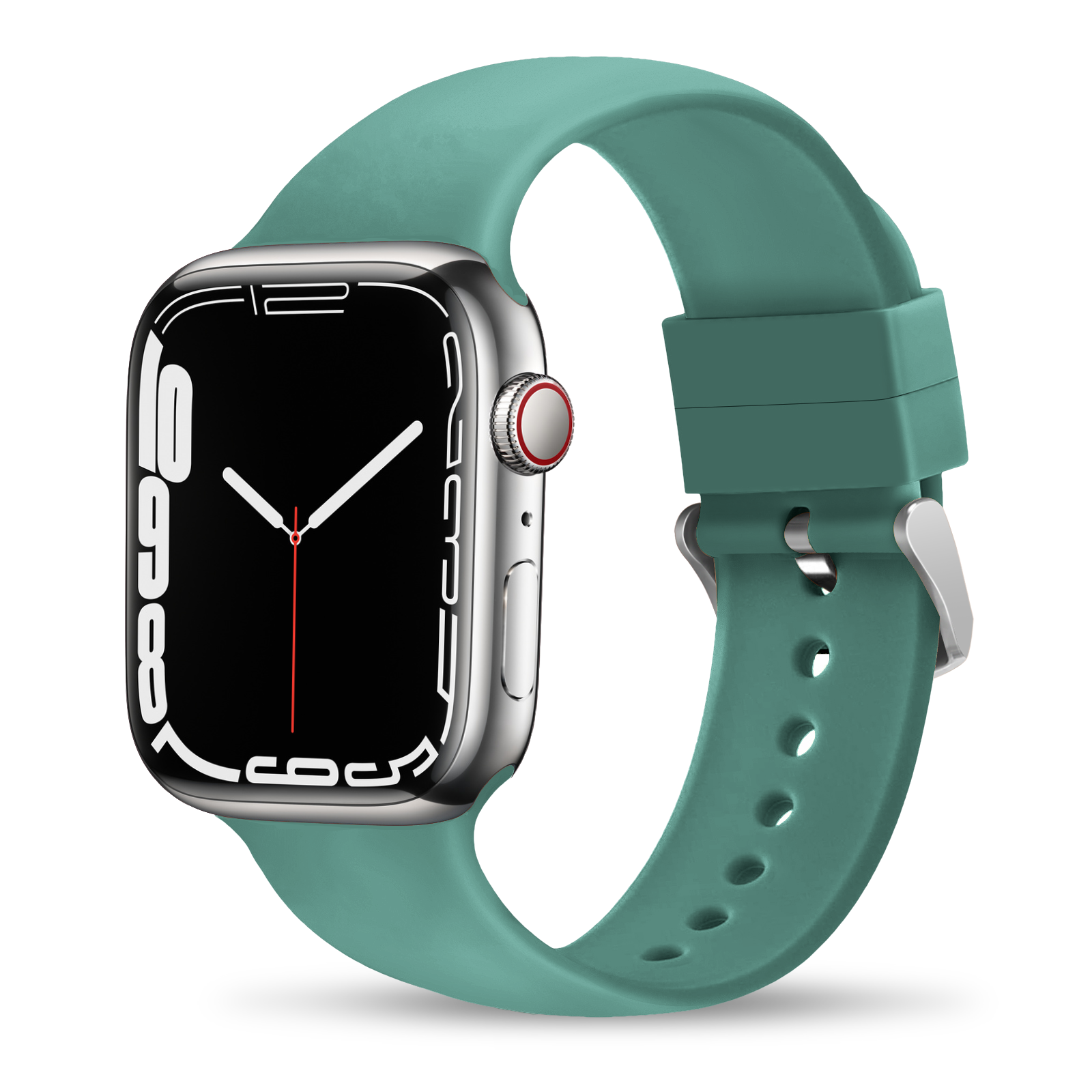 6 # แคคตัส