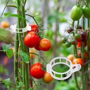 Clip <span class=keywords><strong>de</strong></span> fixation transparent rond en plastique pour treillis <span class=keywords><strong>de</strong></span> serre agricole, pour la culture <span class=keywords><strong>de</strong></span> tomates/concombres, 22/25mm - Product Image 3