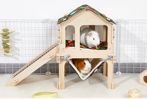 Moderna grande nascondiglio in legno di porcellini d'India sostenibile Pet House impermeabile Pee Pad in legno non trattato biancheria da letto moderna - Product Image 3