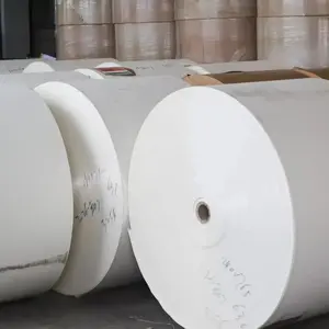 Cupstock paper PE Coated cup paper Raw Material Paper In Roll