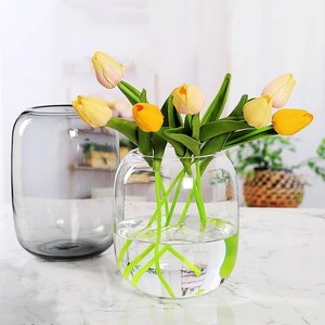 Vases à fleurs en verre gris clair moderne Vase en verre rond transparent à gros ventre Pantalon hydroponique Réservoir de poissons Bocal à poissons - Product Image 2