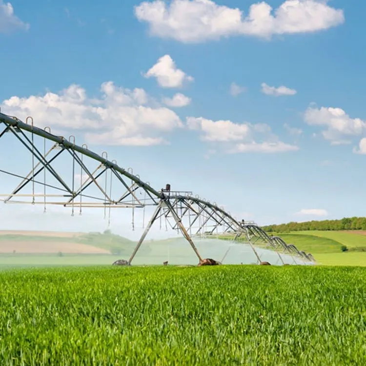 Irrigação de campo automática irrigando equipamentos centro pivô movendo ponteiro grande tipo pulverizador irrigação máquina