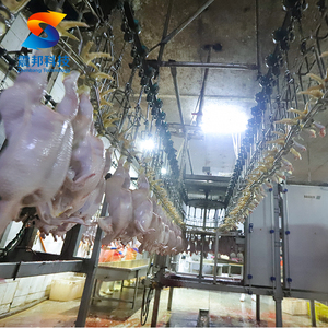 Équipement d'abattage de canard ZB avec équipement de traitement de boucherie et de volaille - Product Image 3