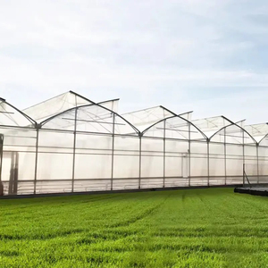 Multi-Span Agricultural Greenhouse <b>Large</b> Film Cover Galvanized Steel Frame - Product Image 1