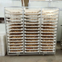 BAOYANG Droogoven Dehydrator voor appelchips en fruitdehydratatie