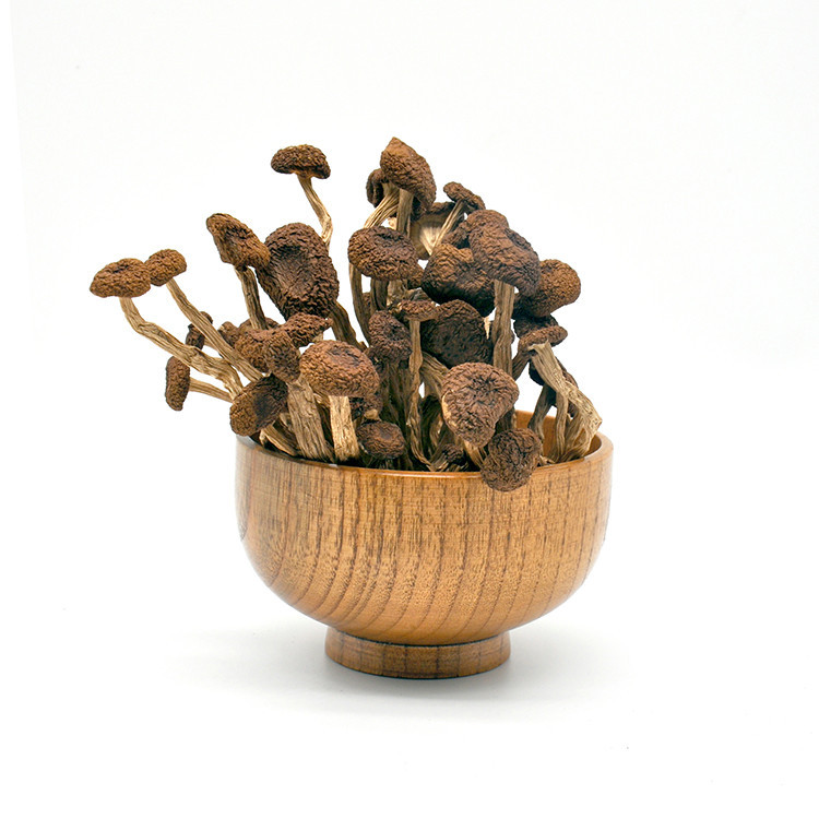 Huazigu Wholesale Cultivation Sorthern Polar Mushroom Dried Tea Tree Mushroom