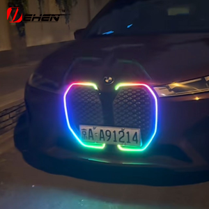 BMW yeni iX LED ışık-2022 IX için 2026 Grille tarzı böbrek Grille ön izgara izgara <span class=keywords><strong>M</strong></span> spor lamba otomobil parçaları ile aydınlatılmış - Product Image 6