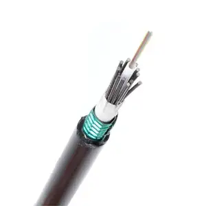 Kabel optik lapis baja 2/4/6/12/16/24 Core untuk komunikasi tabung sentral luar ruangan-GYXTS