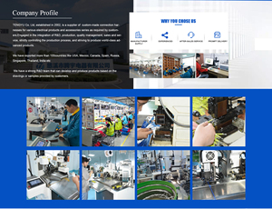 Kabel Konektor Pigtail 15CM JST SM 2 Pin Plug Male Female dengan Selubung PVC, Konduktor Tembaga Berlapis Timah untuk Lampu LED Strip - Product Image 4