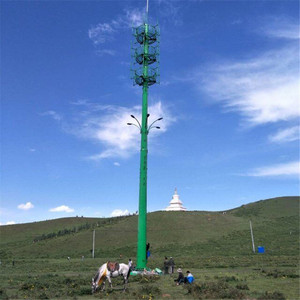 Fabrikgefertigter 25m 40m hoher Netzwerk-GSM-Kommunikations-Monopolmast, Telekommunikations-Stahlmast, feuerverzinkt, 30+ Jahre Lebensdauer - Product Image 3