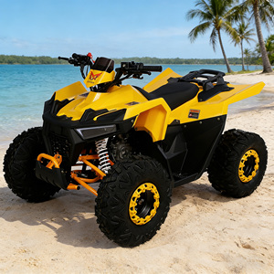 <span class=keywords><strong>Quad</strong></span> utilitaire ATV Junior à faible entretien pour flotte commerciale 150cc - Product Image 6