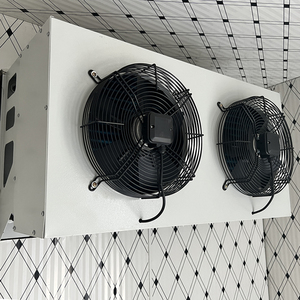 Vụ Nổ Tủ đông làm mát đi bộ trong phòng lạnh container với đơn vị làm lạnh - Product Image 6