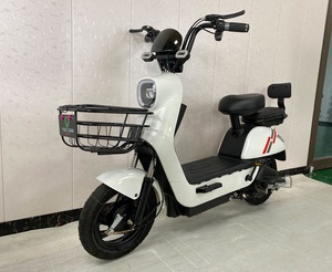 Vélo Électrique en Acier à Haute Teneur en Carbone 14 Pouces, 48V350W Y2-BD, Vente Chaude Usine - Product Image 5