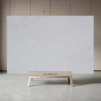Style moderne minimaliste, grande dalle de marbre naturel blanc pur, idéale pour les décors intérieurs minimalistes de toute la maison.