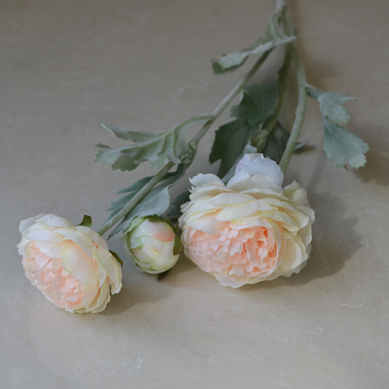 spring Champagne