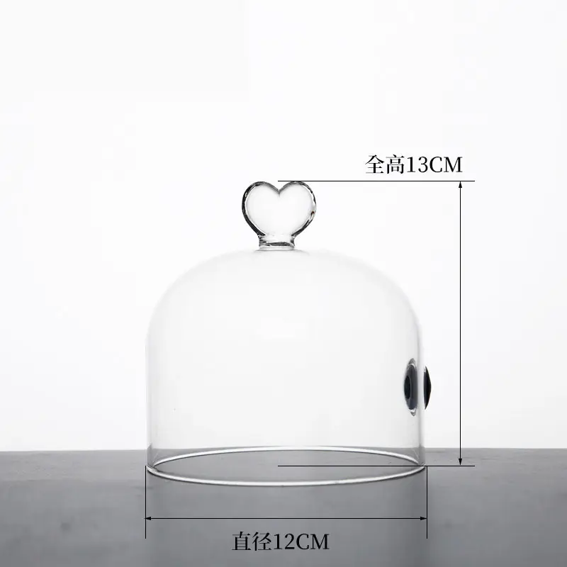 Glass Dome Cloche Clear Bell Jar Display Dome Jar Food Bar Accessories Decoration