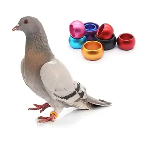 Bracelet de pied de pigeon en Aluminium, fournisseur chinois