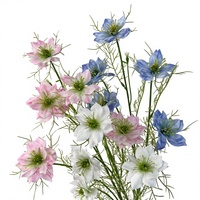 Bunga Nigella Buatan Sutra, Rangkaian Bunga Daisy, Dekorasi Pernikahan, Hotel, Mal, dan Pajangan