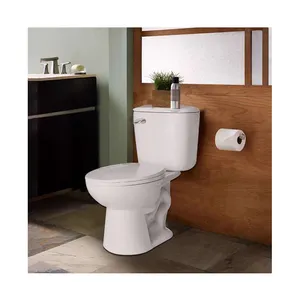 American Standard Sanitary upc Ceramic Elongated ADA S trap 300mm 2 Piece Toilet Bowl and Tank