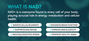Vigo OEM NAD дополнительная добавка, ресвератрол CoQ10 Альфа-липоевая кислота для женщин и мужчин, альтернативная липосомальная жидкость для беременных женщин - Product Image 5