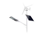 Système d'éclairage LED pour éolienne horizontale extérieure, en acier inoxydable, IP68, hybride solaire AC/DC, pour éclairage public et jardin, CRI élevé