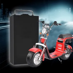 15ah 60v 20ah Lithuim Ebike Battery Three-wheeled Electric Scooter 48v 12ah Battery Citycoco WS-PRo TRIKE Akku 1000w