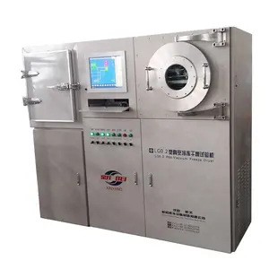 Hot sale mini freeze dryer for sale laboratory lyophilizer LG0.2 with 3kg loading capacity