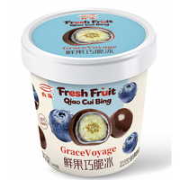 B2B Bulk Diepvries Fruit Diepvries Chocolade Fruit Premium Vers Fruit Centrum Knapperig Buiten, Sappig Binnen Perfect