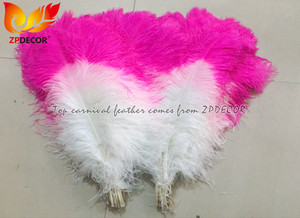 Plumes d'<span class=keywords><strong>autruche</strong></span> teinte pour le Costume de carnaval, 10 pièces, Photo de décoration zpdécor, qualité supérieure - Product Image 3