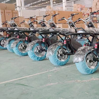 Skuter Listrik Citycoco Roda Lebar 1500w dari Gudang Eropa, Skuter Listrik Citycoco Ban Tebal Roda Besar