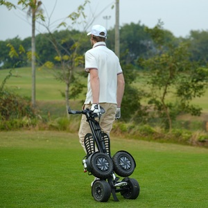 Eswing 2025 Nuevo Diseño, Carro de <span class=keywords><strong>Golf</strong></span> Eléctrico Plegable de Aluminio de 10 Pulgadas y 1600w, Scooter de <span class=keywords><strong>Golf</strong></span> - Product Image 4