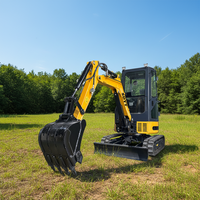Mini-excavatrice sur chenilles de 3,5 tonnes avec moteur Kubota, pelle hydraulique, machine compacte et durable pour la ferme, le jardin et l'habitat, personnalisable