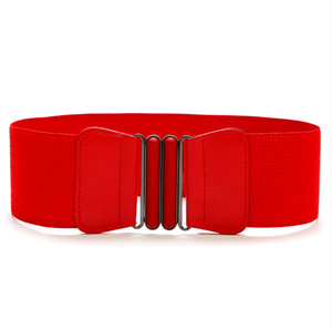 2025 Hot Sale Fashion Vintage Women's Stretchy Belts Casual Simple and Versatile Corset Waist Belt with Alloy Buckle for <b>Dresses</b> - Product Image 3