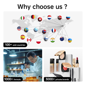 Polvo Suelto de Alta Pigmentación, Polvo Fijador de Marca Privada, Control de Grasa, Polvo Facial Suelto Resistente al Agua - Product Image 6