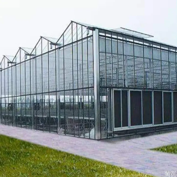 Invernadero de vidrio de invernadero Venlo galvanizado con marco de acero Sistema de cultivo hidropónico Invernadero agrícola solar