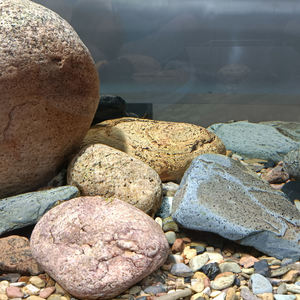 Gladde Milieuvriendelijke Natuursteen Decoratieve Beekstenen Voor Aquariumsubstraat Aquariumaquariumaquarium Ornament Waterplant Groeit - Product Image 5