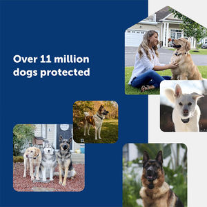 <span class=keywords><strong>Collar</strong></span> receptor de cerca de tierra recargable impermeable para entrenamiento de perros <span class=keywords><strong>Collar</strong></span> de límite <span class=keywords><strong>Invisible</strong></span> ajustable personalizado para travieso - Product Image 6