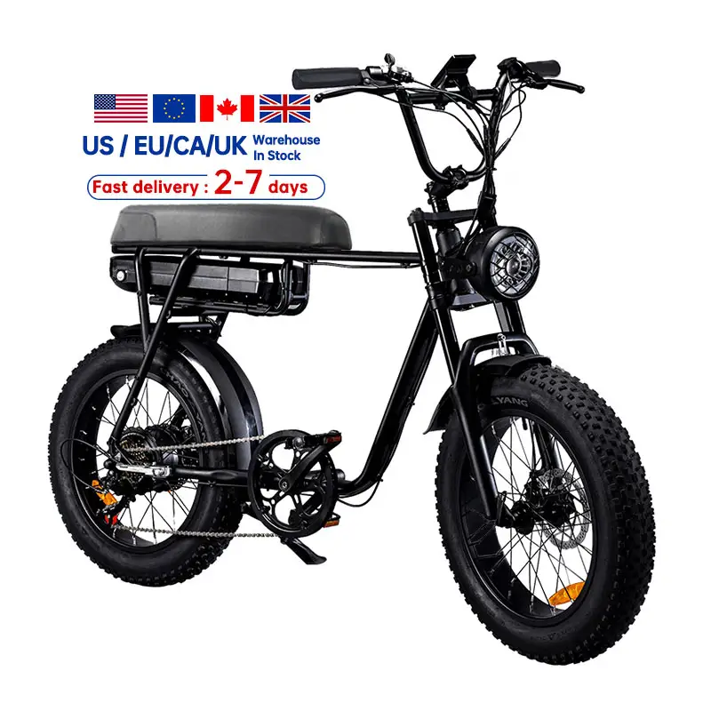 Drehmoments ensor Elektro fahrrad EU Warehouse Vintage Elektro fahrrad US Warehouse Fat Tire Elektro-Snowbike eBike Fatbike